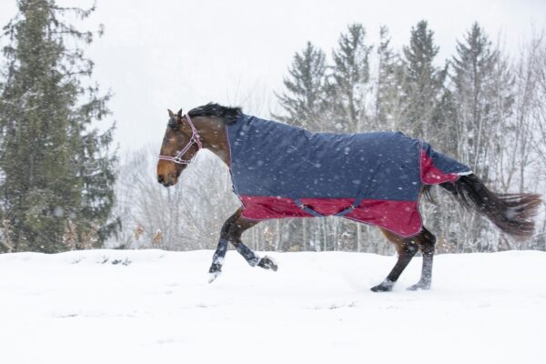 Equitheme Vinterdækken highneck 300 gram