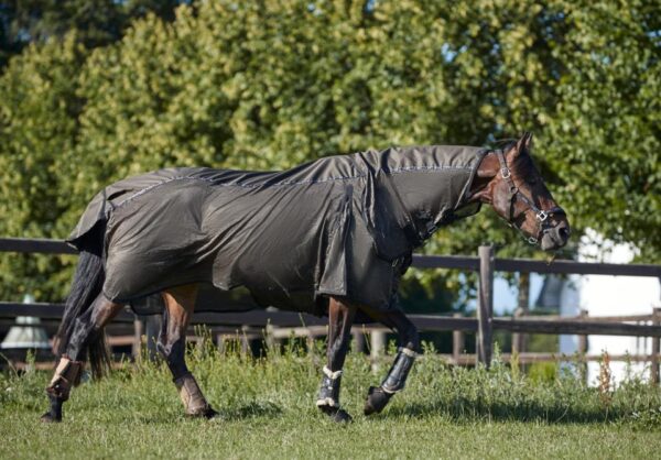 HorseGuard Maison Insekt/Regndækken - 135 CM